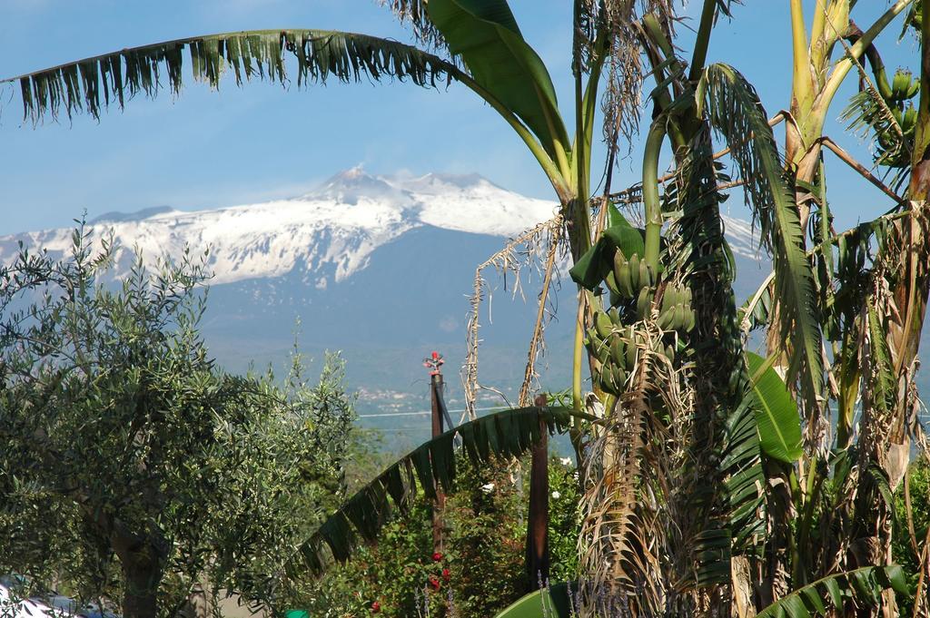 Agriturismo Dell'Etna リポスト エクステリア 写真